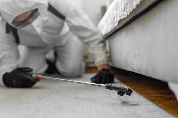 Professional Ant Control technician working in Southwest Sandhill, TX